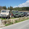 img_1225411195_460.jpg