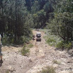 img_1225669754_915.jpg