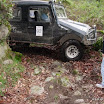 img_1225413303_659.jpg