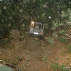 img_1225661830_371.jpg