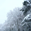 img_1243016825_653.jpg