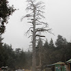 IMG_1323.JPG