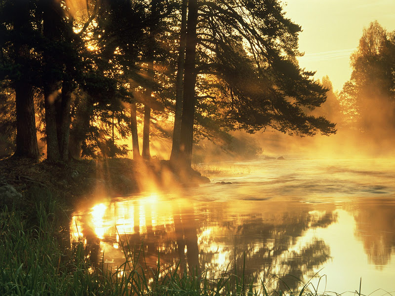 Nature wallpapers pack