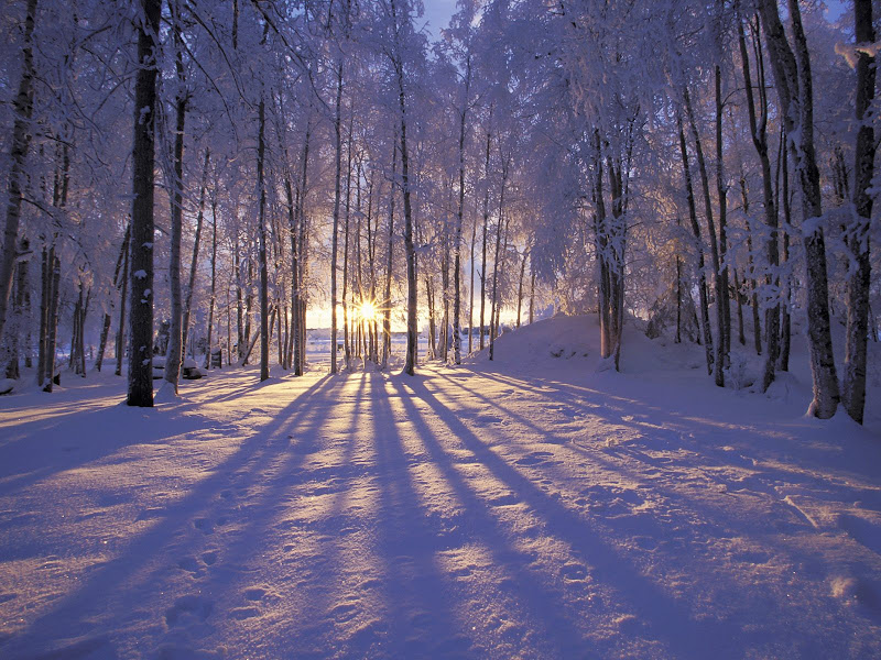 Nature wallpapers pack