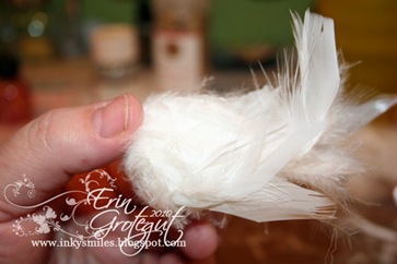 IMG_1838web IMG_1838web