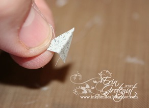 IMG_1850web IMG_1850web