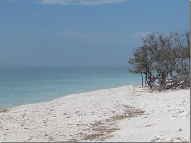 honeymoon island