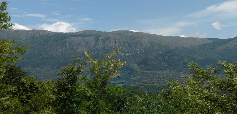 Suva planina