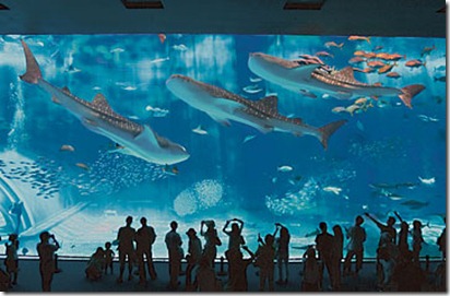 Churaumi-Aquarium