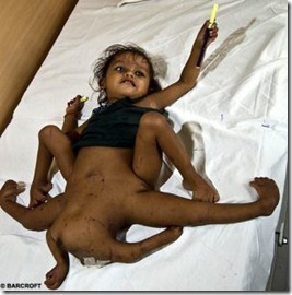 bayi8 bayi8