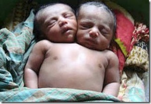 bayi7 bayi7