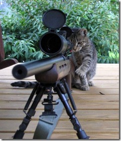 Beware-Of-Sniper-Animals16