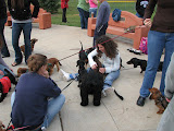 Another fluffy party crasher. Good thing Dachshunds are social.