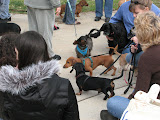 IMG_1551.JPG