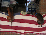 IMG_3089.JPG