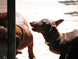 IMG_2857.JPG