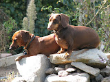 IMG_0432.JPG