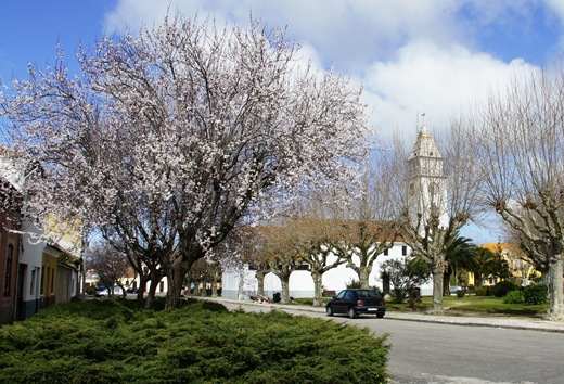 Mira - Portomar - primavera 2