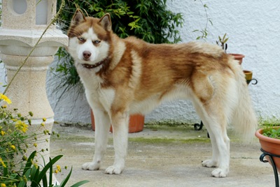 [SHEIKGloriaIshizaka4.jpg]