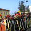 PICT2474.JPG