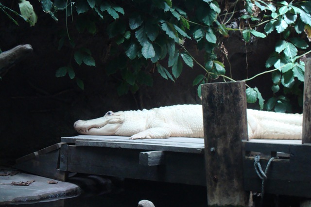 [DSC014073.jpg]
