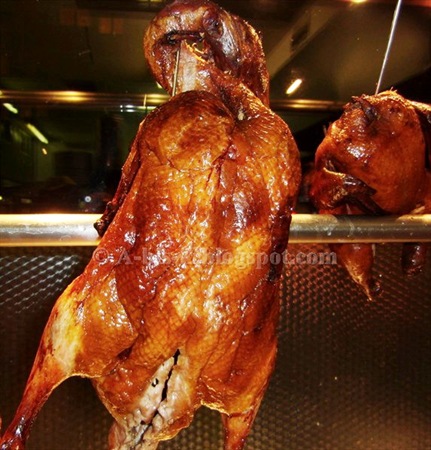 PekingEnte _1(28)