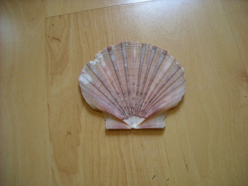 DSCN0512