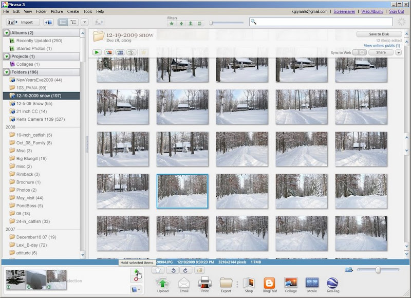 posting photos with picasa help pond boss forum