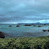 wasser-landschaft_DSF4496.jpg, Stø - Vesteralen - Norway, World