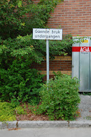 DSC_2265.JPG
