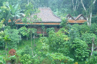 n1007926328_345366_9769.jpg
