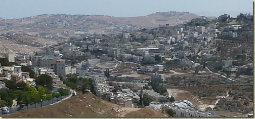 P1020121