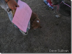 26-27 Jun Horse Show Eddy Ranch 486