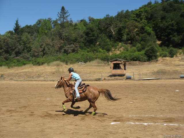 [26-27 Jun Horse Show Eddy Ranch 250[1].jpg]