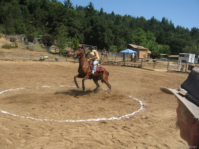 [26-27 Jun Horse Show Eddy Ranch 263[1].jpg]