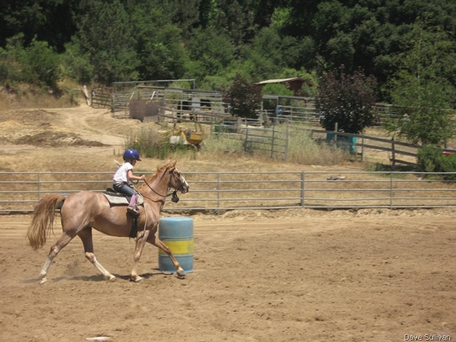 [26-27 Jun Horse Show Eddy Ranch 289[1].jpg]