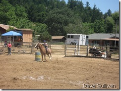 26-27 Jun Horse Show Eddy Ranch 292