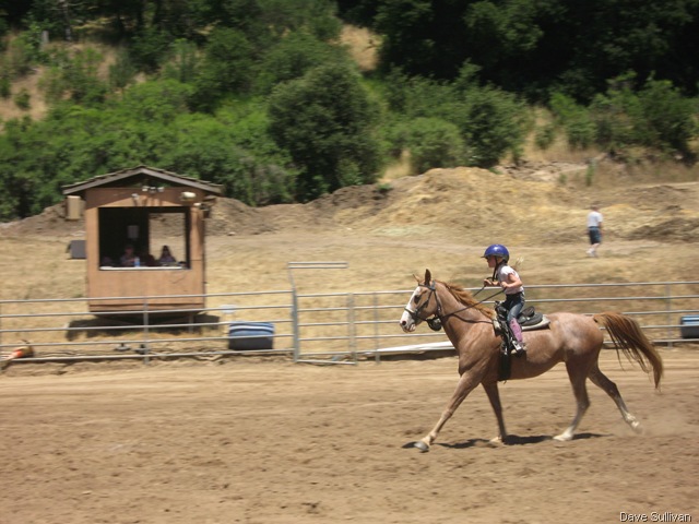 [26-27 Jun Horse Show Eddy Ranch 296[1].jpg]