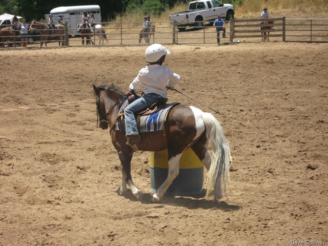 [26-27 Jun Horse Show Eddy Ranch 402[1].jpg]