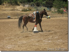 26-27 Jun Horse Show Eddy Ranch 435