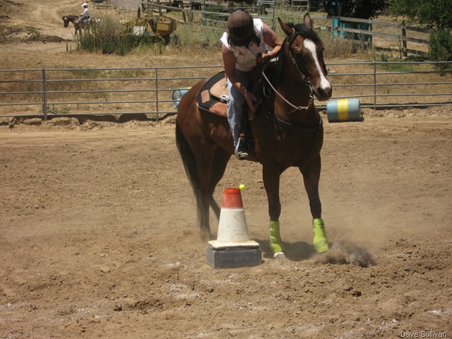 [26-27 Jun Horse Show Eddy Ranch 448[4].jpg]