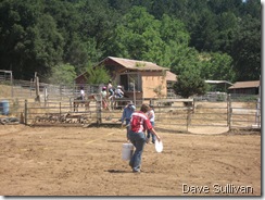 26-27 Jun Horse Show Eddy Ranch 179