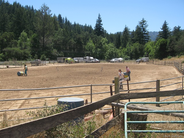[26-27 Jun Horse Show Eddy Ranch 153[2].jpg]