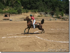 26-27 Jun Horse Show Eddy Ranch 198