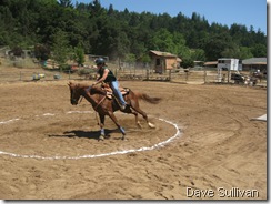 26-27 Jun Horse Show Eddy Ranch 209