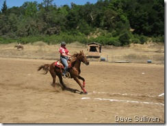 26-27 Jun Horse Show Eddy Ranch 221