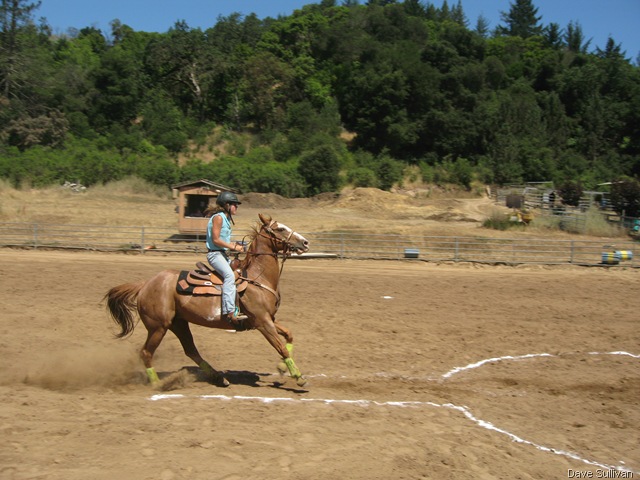 [26-27 Jun Horse Show Eddy Ranch 240[1].jpg]