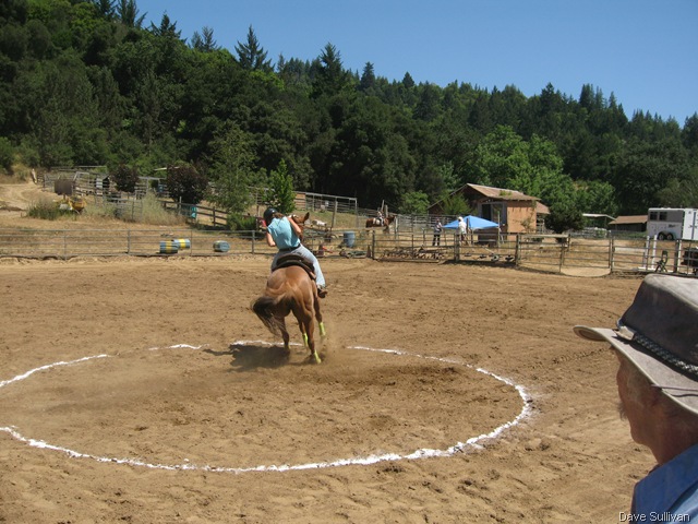 [26-27 Jun Horse Show Eddy Ranch 243[1].jpg]