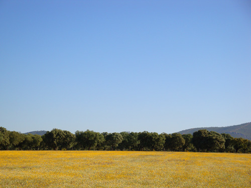 paisajeabr09.WasmecjReg1f.jpg
