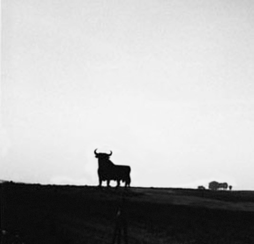 torosborne-bn.nMK6S6ku4V16.jpg